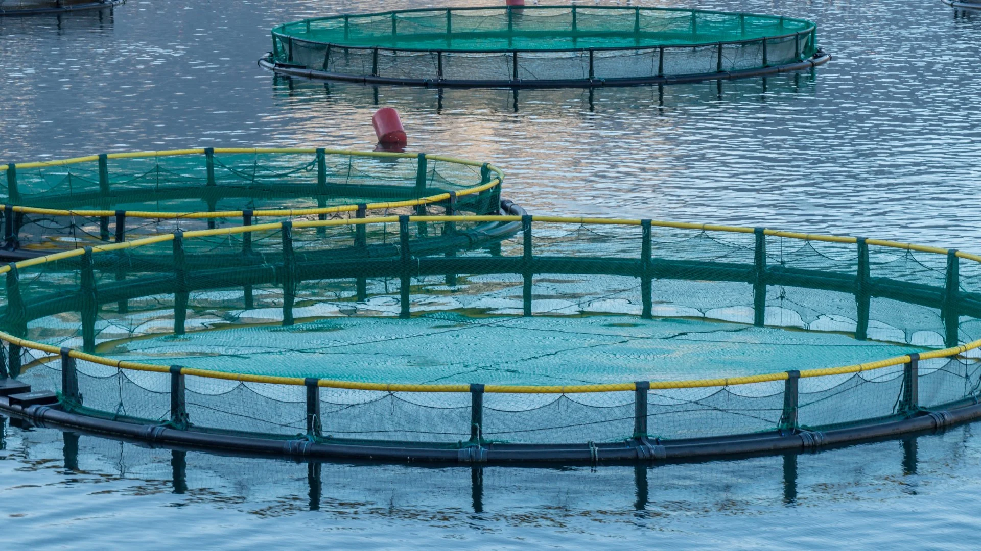 3 Technologies Your Aquaculture Irrigation System Should Be Equipped With