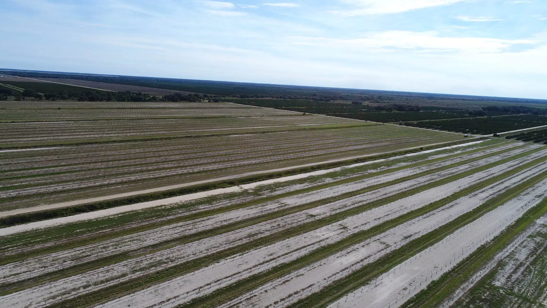 Row crop irrigation lines for a South Carolina farm.