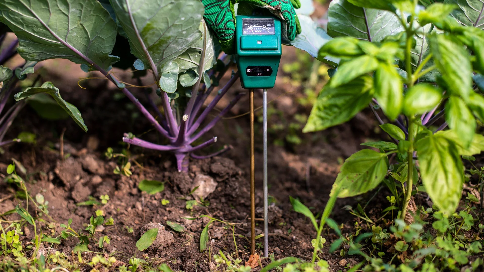 Maximize Crop Yield While Minimizing Water Usage With Soil Moisture Sensors