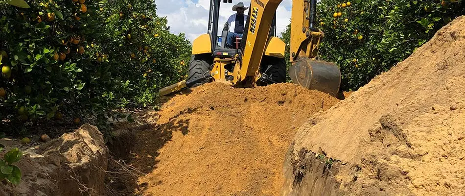 Citrus irrigation system being installed at a Florida farm.