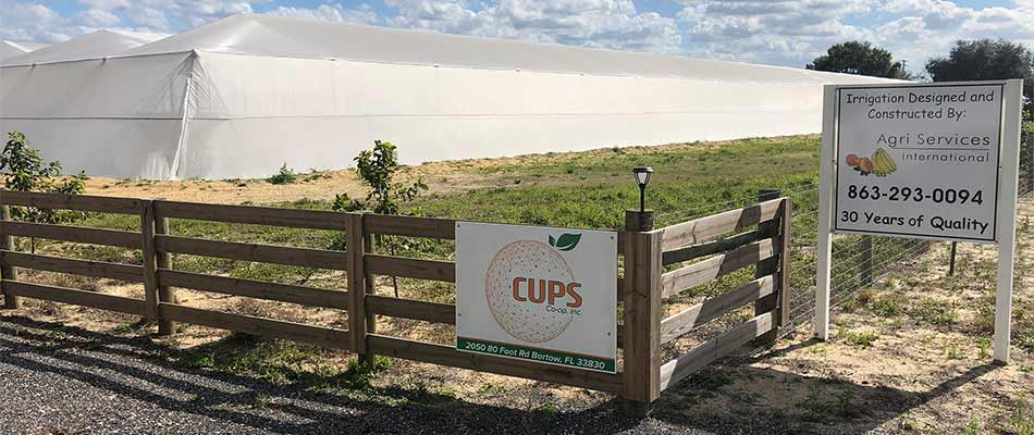 C.U.P.S. irrigation installation at a citrus farm in Florida.